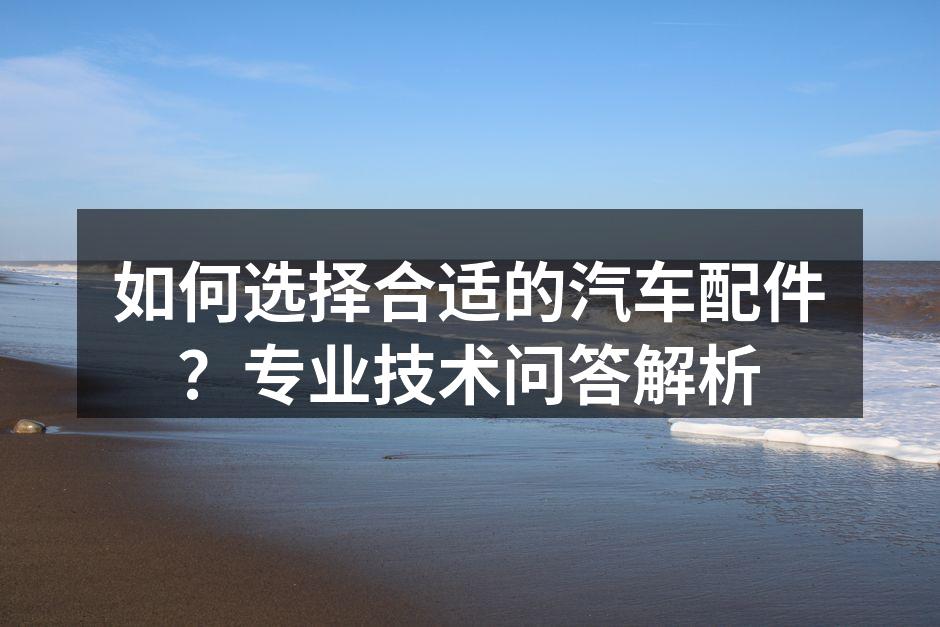 专业汽车配件展示