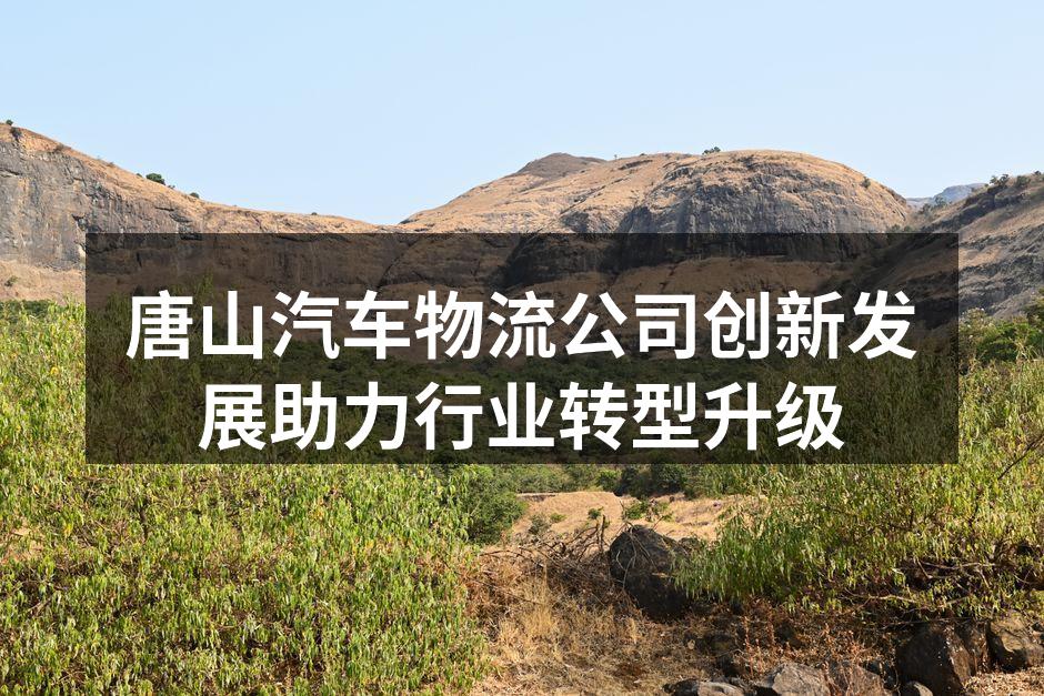 汽车物流运输现场