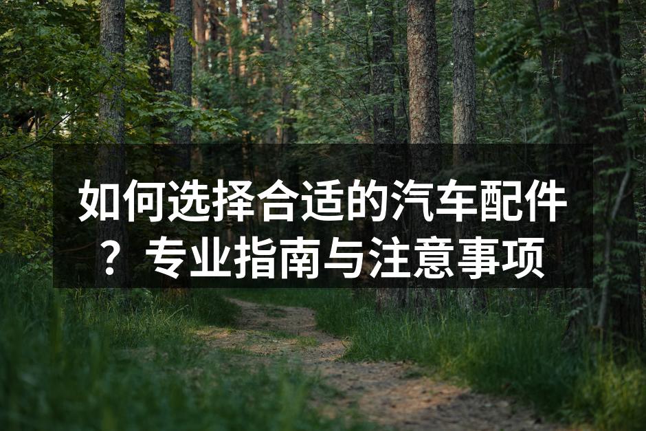 高品质汽车配件展示