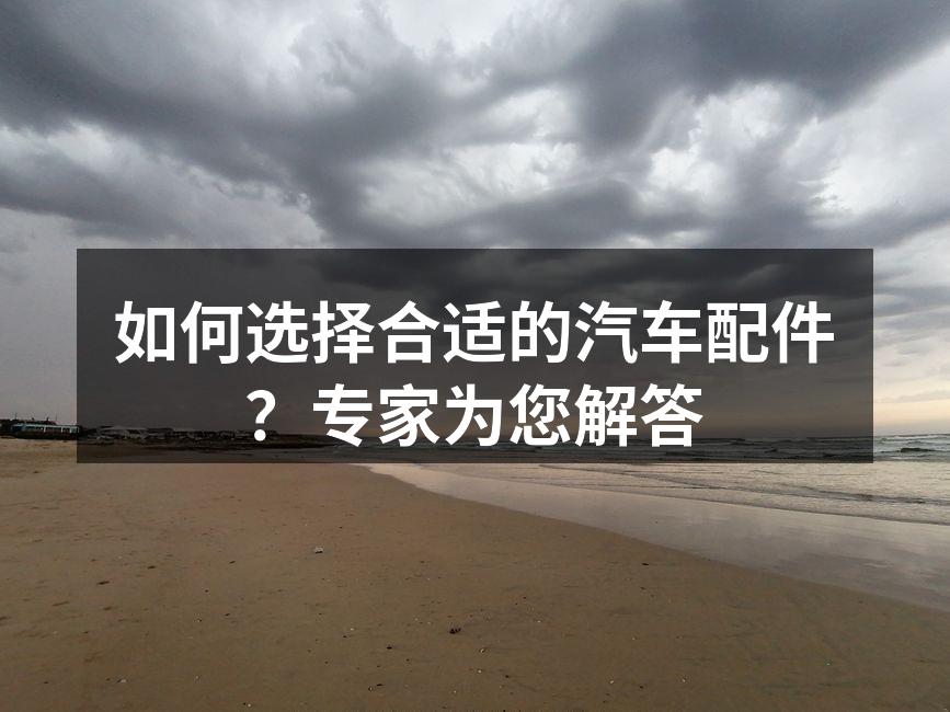 汽车配件展示,种类繁多